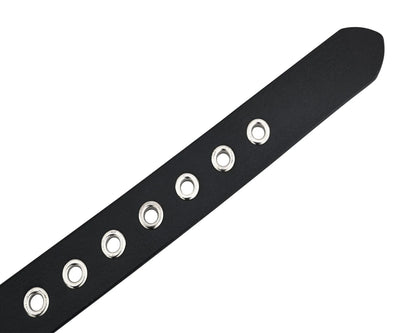 Star Studded Genuine Cowhide Leather Belt with Chrome Stars and Studs